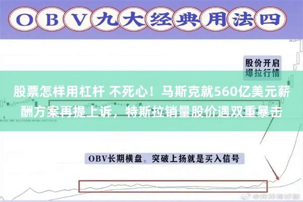 股票怎样用杠杆 不死心！马斯克就560亿美元薪酬方案再提上诉，特斯拉销量股价遇双重暴击