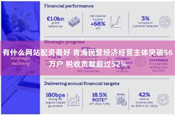 有什么网站配资最好 青海民营经济经营主体突破56万户 税收贡献超过52%