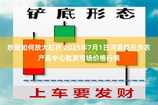 炒股如何放大杠杆 2025年7月1日河南商丘市农产品中心批发市场价格行情